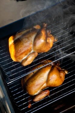 Bradley Digital Smoker 6-Rack / Elektro Räucherofen -Barbecue Serien Geschäft 13237 Bradley Smoker Gefluegel