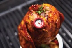 Broil King Mini Einstechthermometer Set