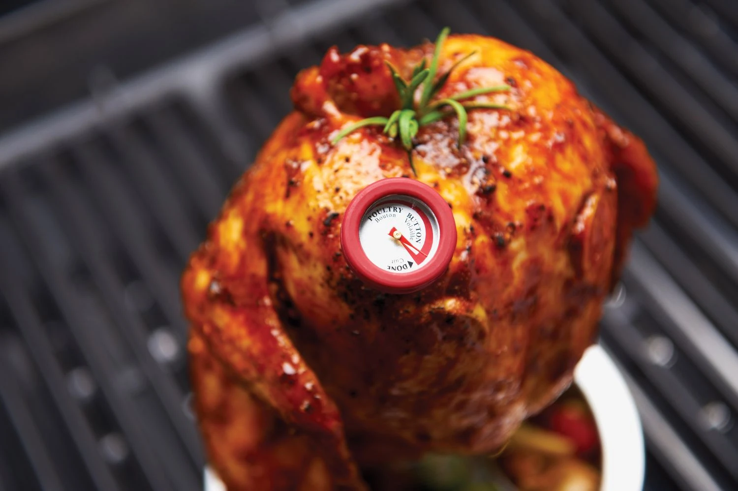 Broil King Mini Einstechthermometer Set 3 Broil King Mini Einstechthermometer Set