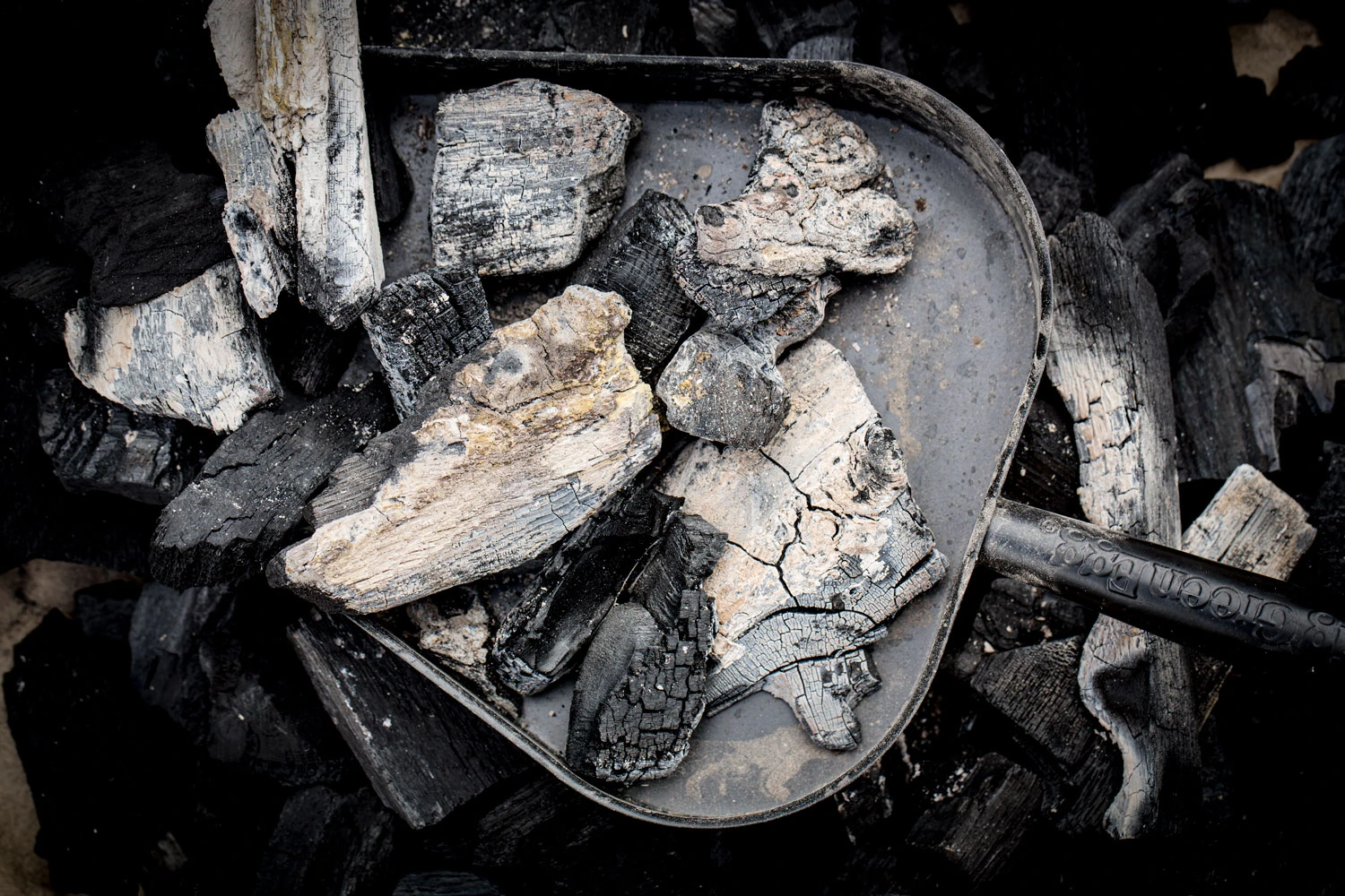 Big Green Egg Ascheschaufel Für 2XL, XLarge, Large, Medium 4 Big Green Egg Ascheschaufel Für 2XL, XLarge, Large, Medium – Bild 2